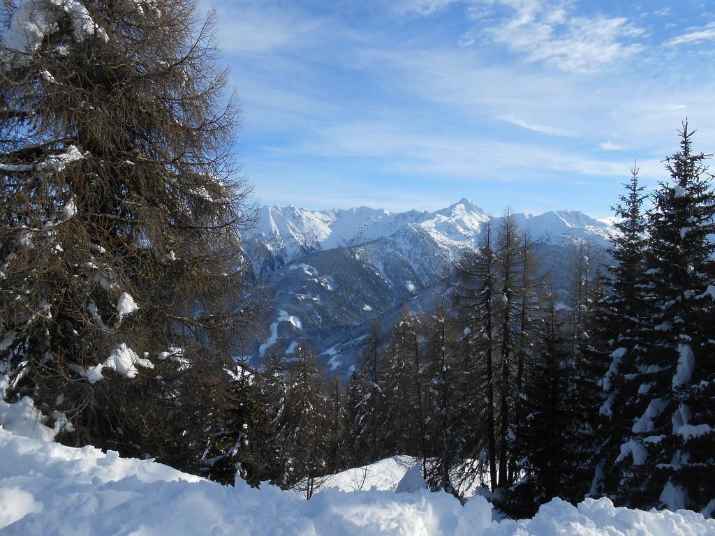 Appartement Haus Gatterer Obertilliach Zewnętrze zdjęcie